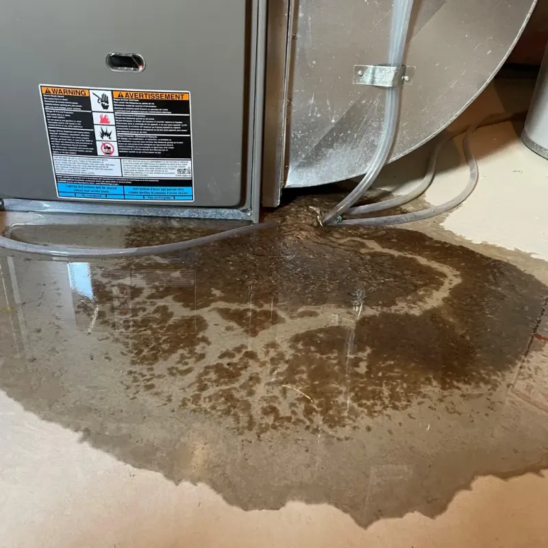 Appliance Leak Cleanup in Santa Teresa, NM